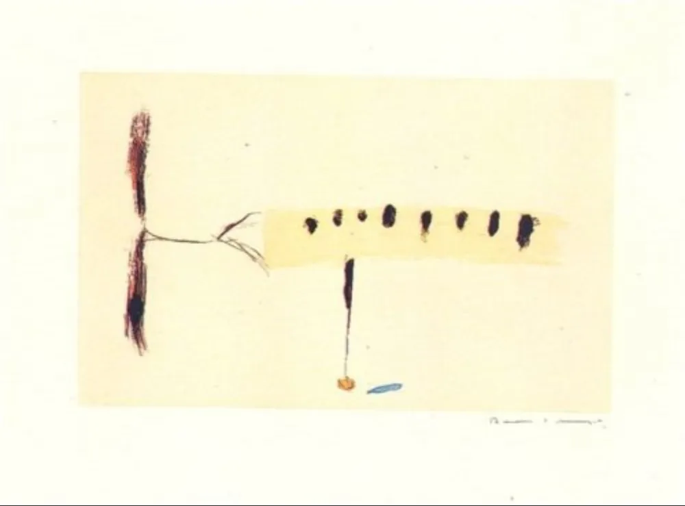 Gravure Riera I Aragó - Avió mig-4