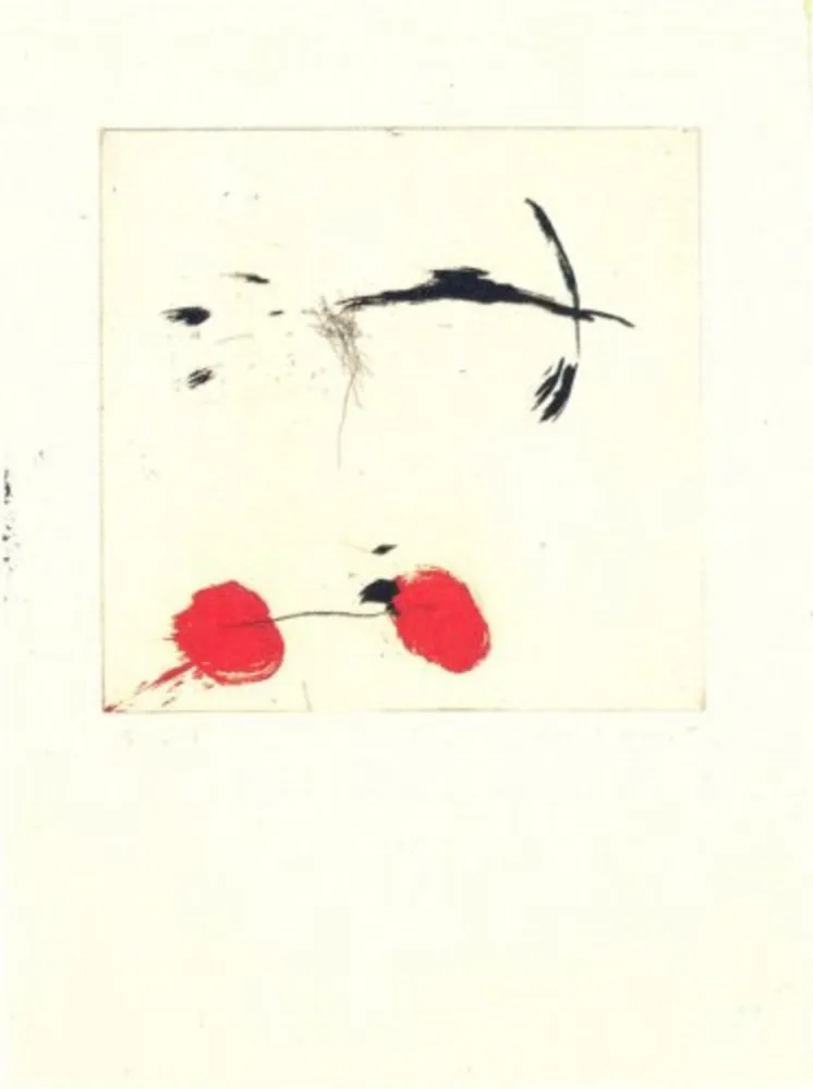 Gravure Riera I Aragó - Avió petit rodes vermelles