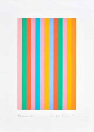 Sérigraphie Riley - Around