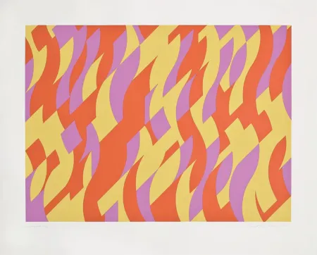 Sérigraphie Riley - Carnival