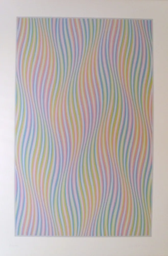 Sérigraphie Riley - Elapse