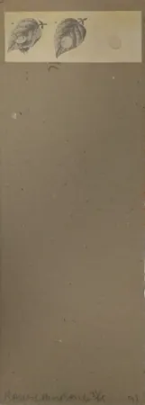 Multiple Robert - Shirtboards Morocco, Italy