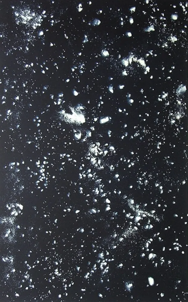 Lithographie Rondinone - Stars, Sheet 1