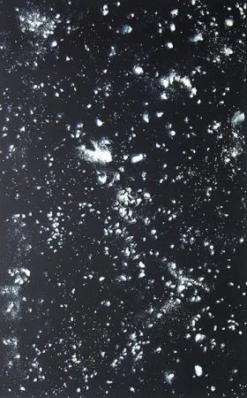 Lithographie Rondinone - Stars, Sheet 1