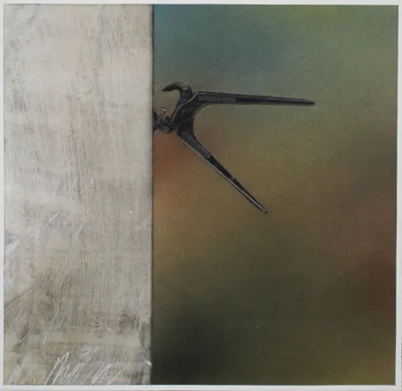 Aucune Technique Rösel - Kneifzange