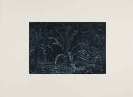 Eau-Forte Roy-Camille - Le remplissage des blancs sur la carte