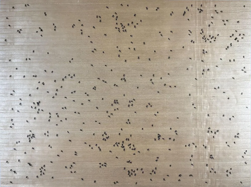 Sérigraphie Ruscha - Black Ants from the Insects Portfolio