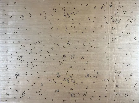 Sérigraphie Ruscha - Black Ants from the Insects Portfolio