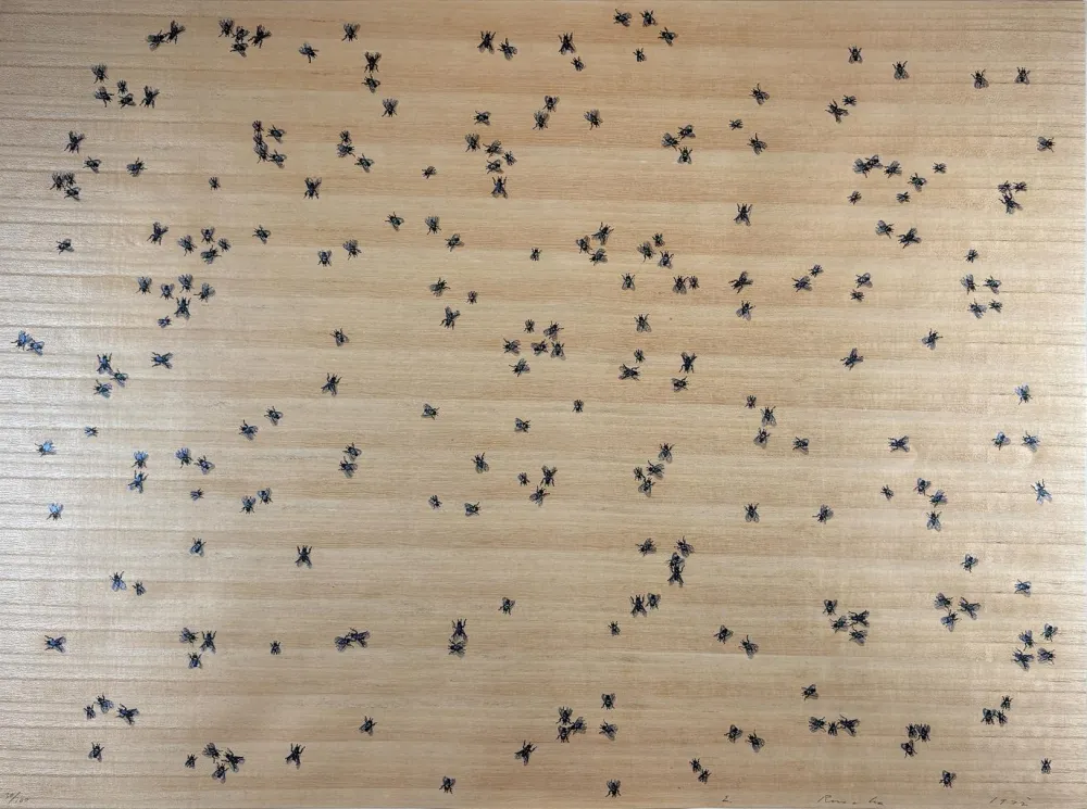 Sérigraphie Ruscha - Flies from the Insects Portfolio