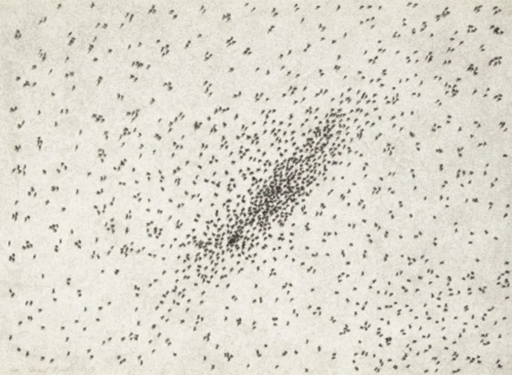 Multiple Ruscha - Insect Slant (Ants) (from Reality & Paradoxes)