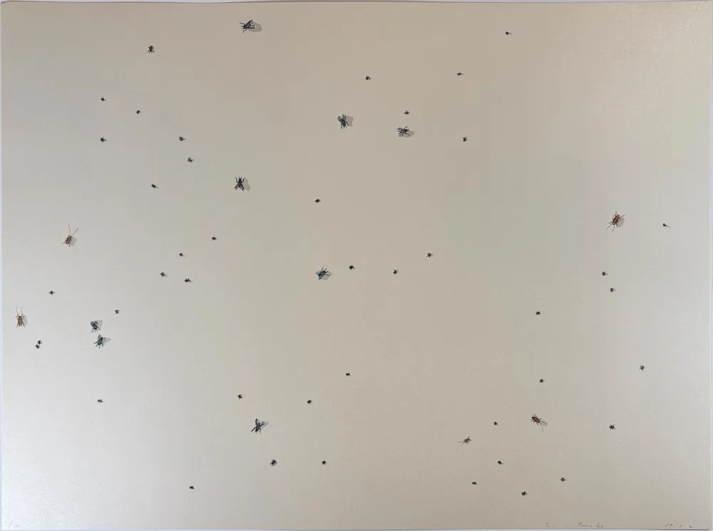 Sérigraphie Ruscha - Pearl Dust Combination from the Insects Portfolio