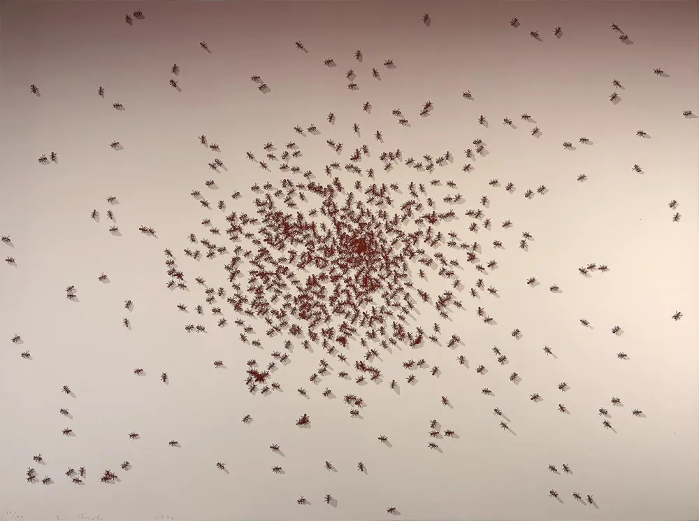 Sérigraphie Ruscha - Swarm of Red Ants from the Insects Portfolio