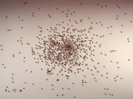 Sérigraphie Ruscha - Swarm of Red Ants from the Insects Portfolio