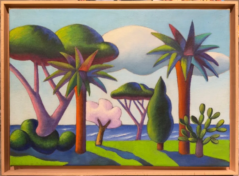 Aucune Technique Salvo - Primavera