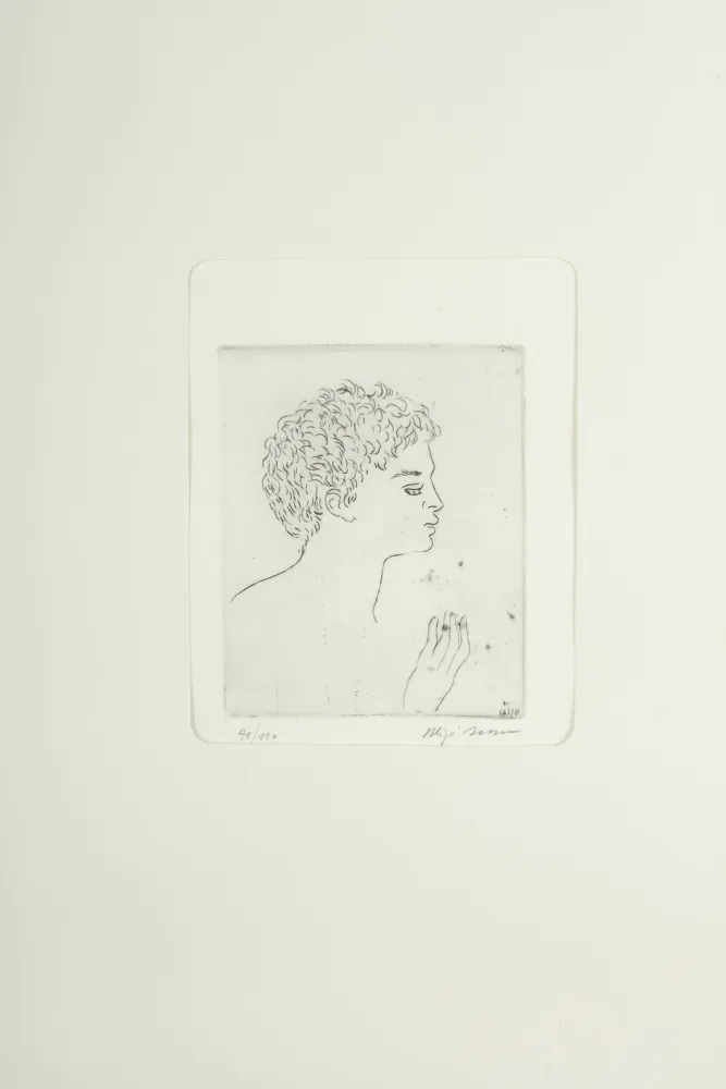 Pointe-Sèche Sassu - Testa di Argonauta