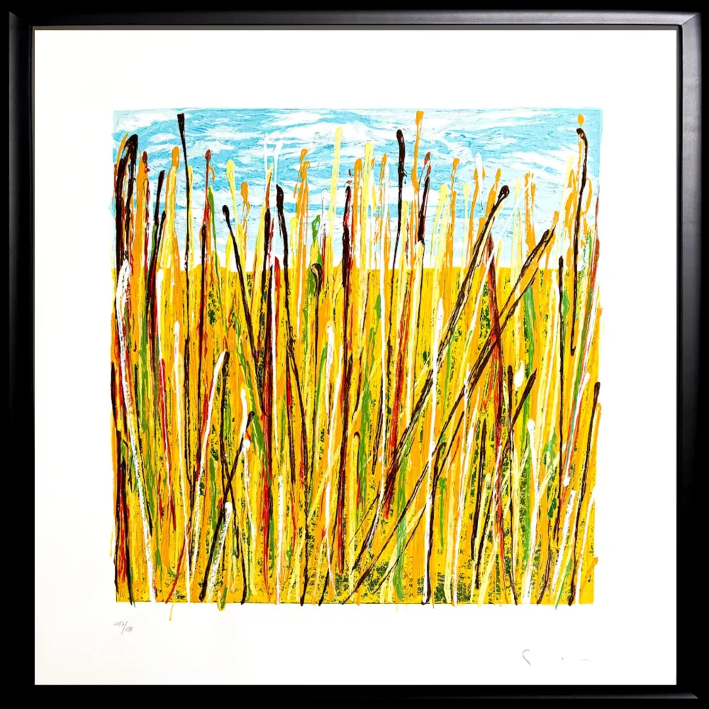 Sérigraphie Schifano - Campo di grano