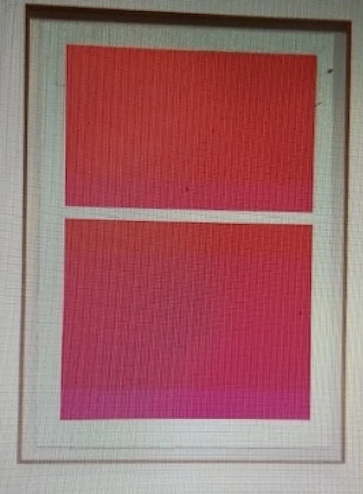 Sérigraphie Shepherd - State Theater on Bikini Pink