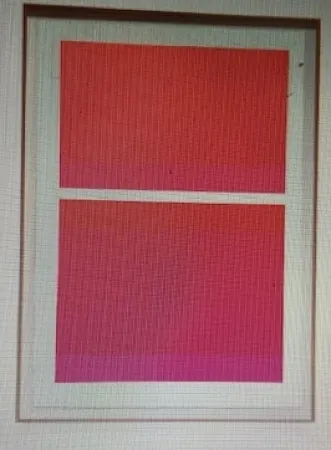 Sérigraphie Shepherd - State Theater on Bikini Pink