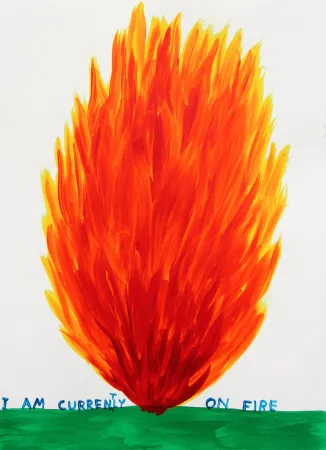 Sérigraphie Shrigley - I Am Currently On Fire