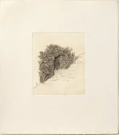 Gravure Siena - Cova