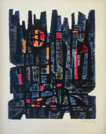 Lithographie Singier - L'Appareil de Maître Gessner 