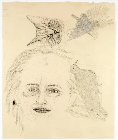 Lithographie Smith - Ginzer and the birds
