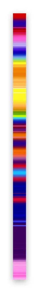 Photographie Snell - Lumina # 202101 