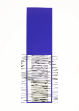 Sérigraphie Soto - Caroni (Purple) 