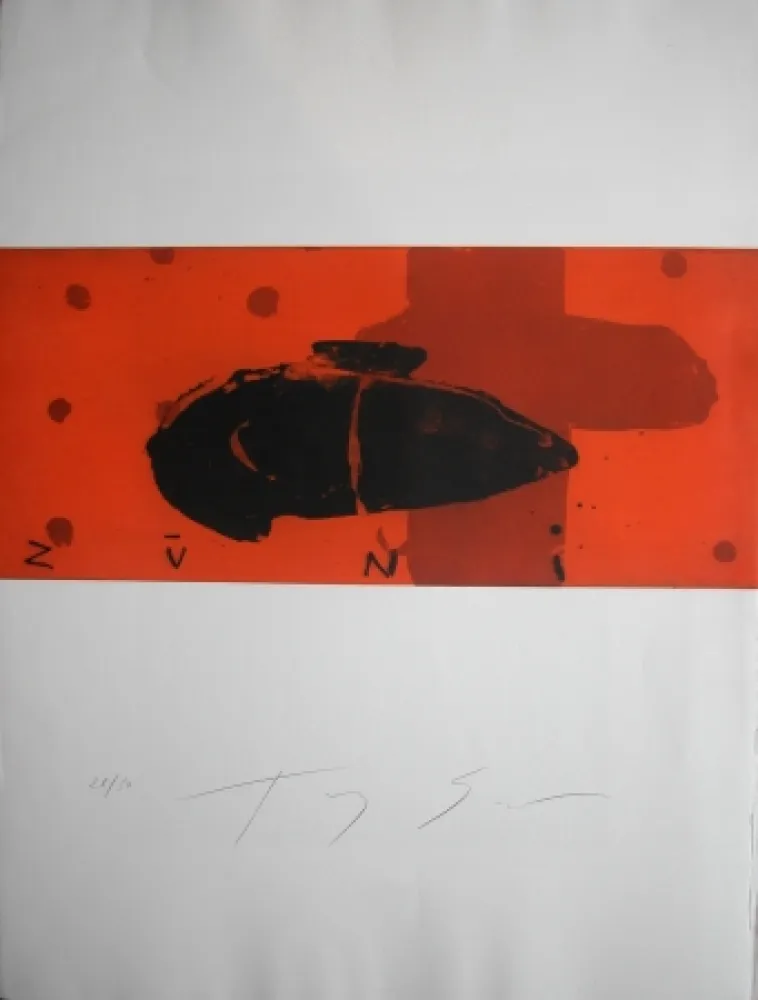 Gravure Soulie - SPRING 5 -gravure de TONY SOULIE