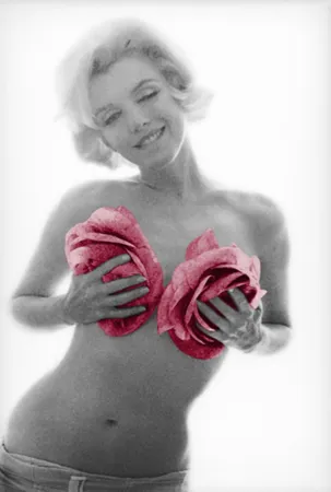 Photographie Stern - Marilyn Pink Roses Large