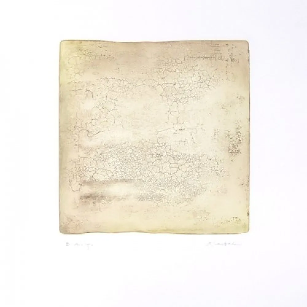 Gravure Su - Inactness B