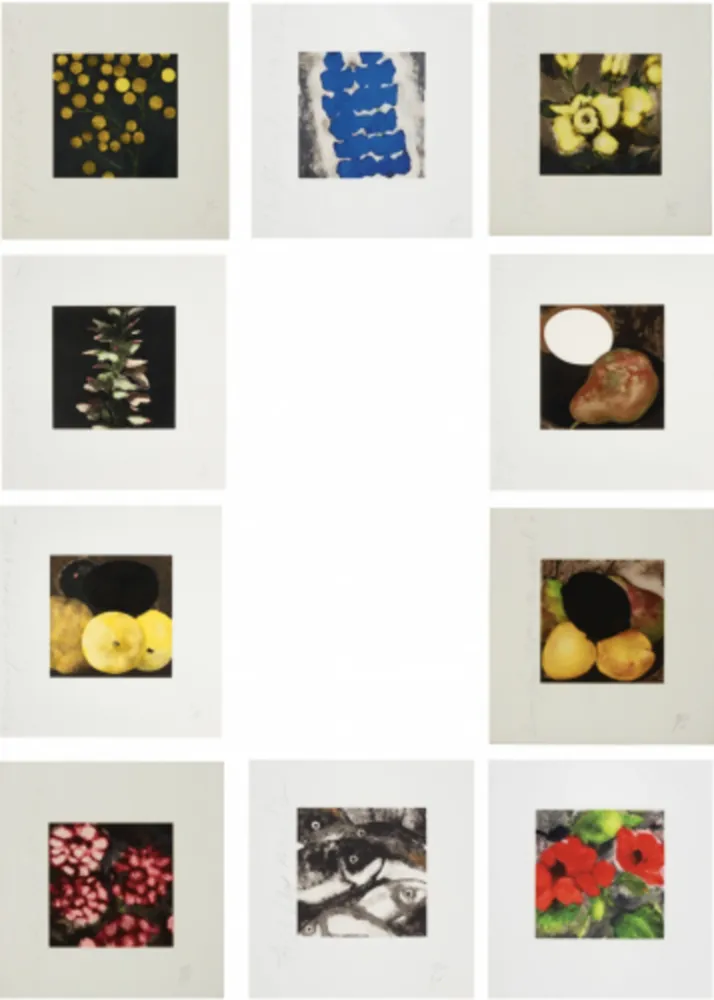 Sérigraphie Sultan - Fruit & Flowers