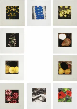 Sérigraphie Sultan - Fruit & Flowers