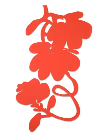 Multiple Sultan - Lantern Flowers (Red)