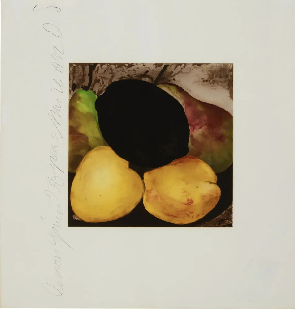 Sérigraphie Sultan - Lemon Juice and Pears from Fruits and Flowers