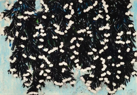 Multiple Sultan - Mimosa with Green, Jan 25, 2023