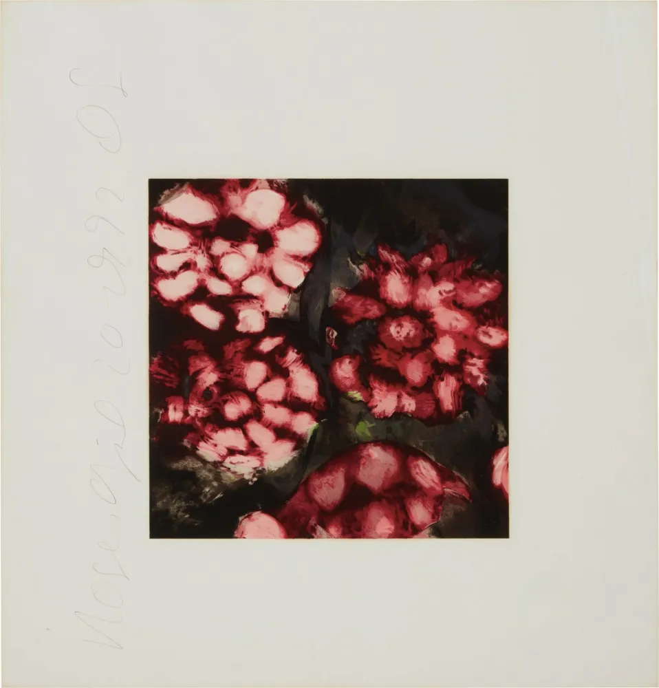 Sérigraphie Sultan - Roses from Fruits and Flowers