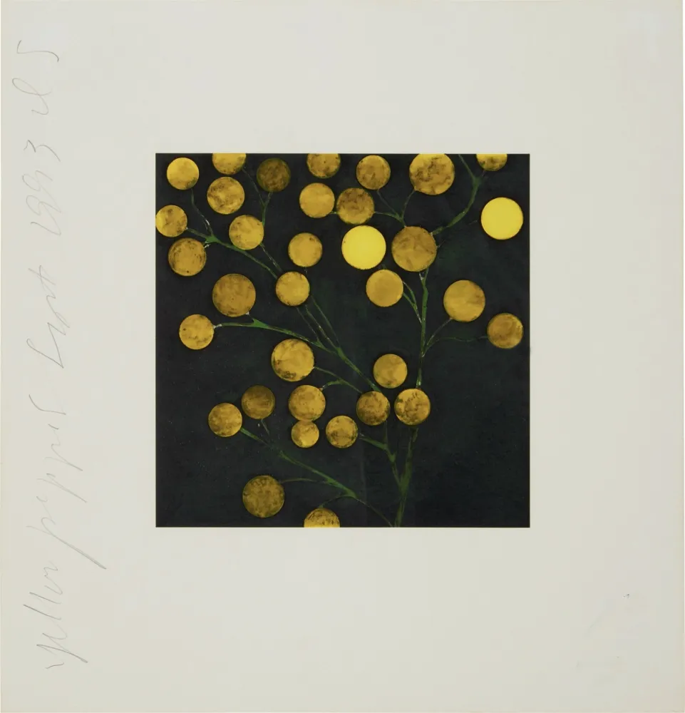 Sérigraphie Sultan - Yellow Peppers from Fruits and Flowers