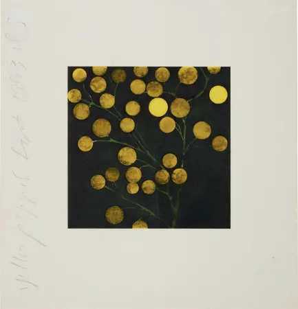 Sérigraphie Sultan - Yellow Peppers from Fruits and Flowers