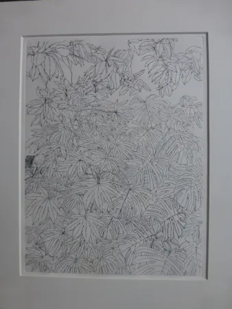 Eau-Forte Szafran - Feuillages ,1977