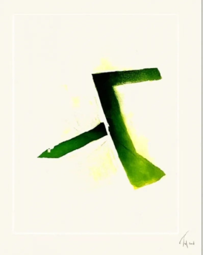 Eau-Forte Et Aquatinte Tal Coat - Acide