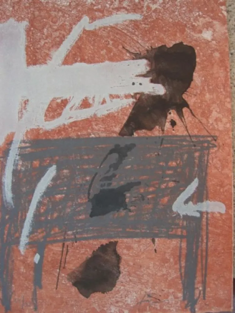 Eau-Forte Tàpies - BOIS DES CERFS (Libro)