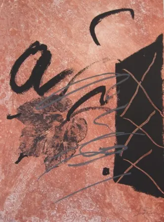 Eau-Forte Tàpies - BOIS DES CERFS (Libro)