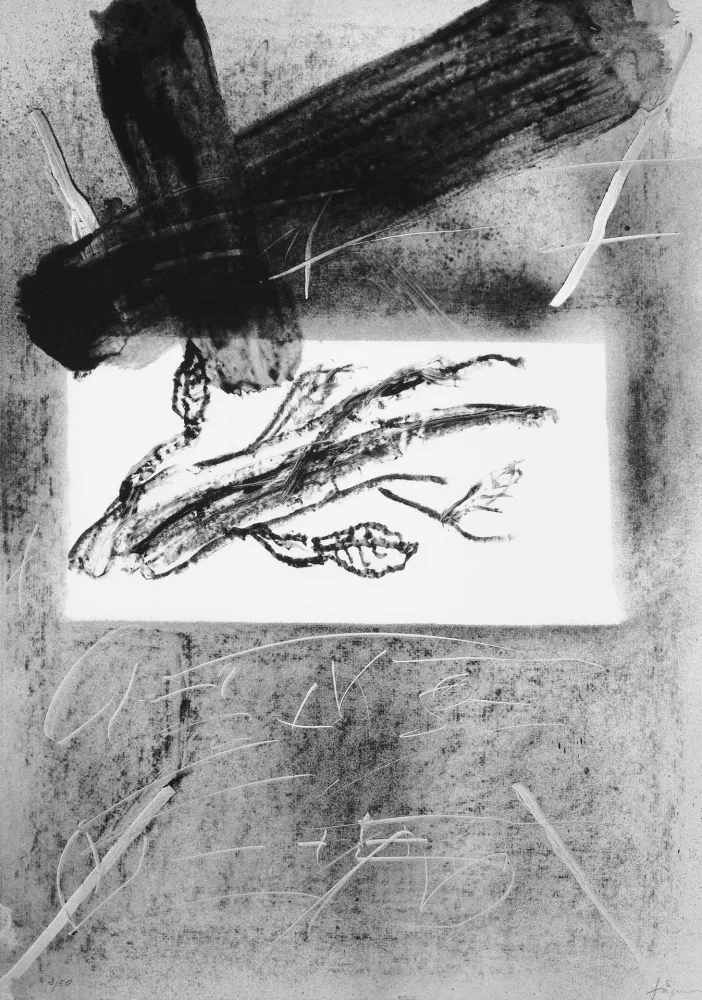 Lithographie Tàpies - Branca i creu