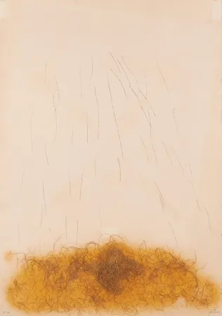 Eau-Forte Tàpies - LE CRIN