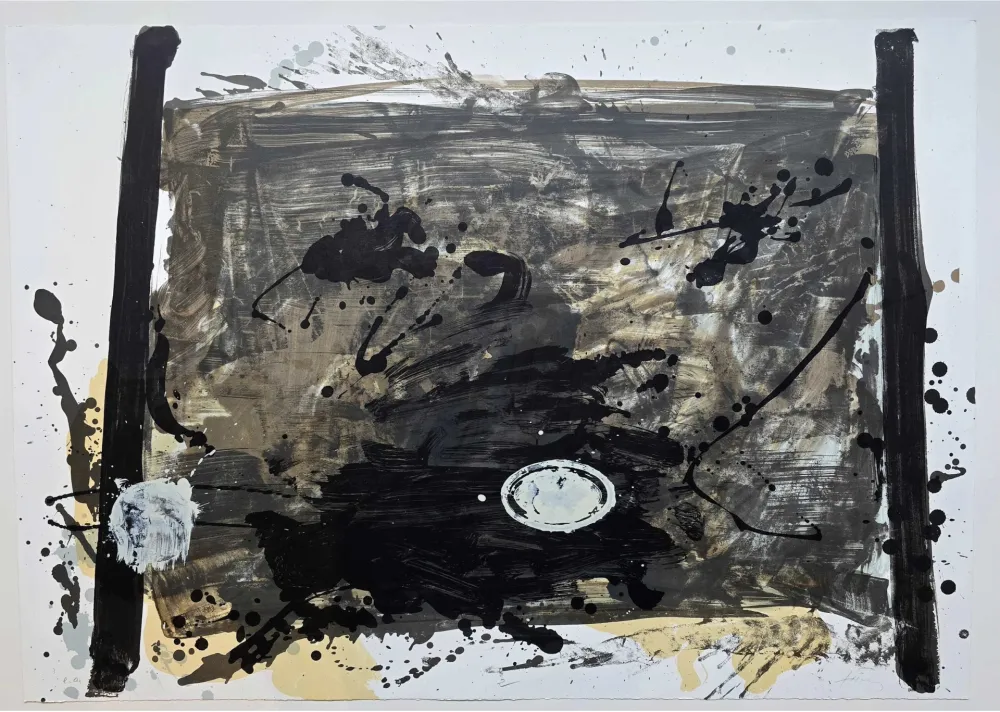 Aucune Technique Tàpies - Suite