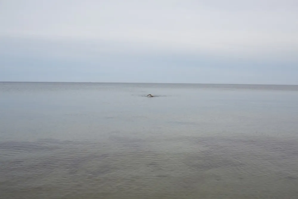 Aucune Technique Teller - Swimming, Glemmingebro, Sweden 2015
