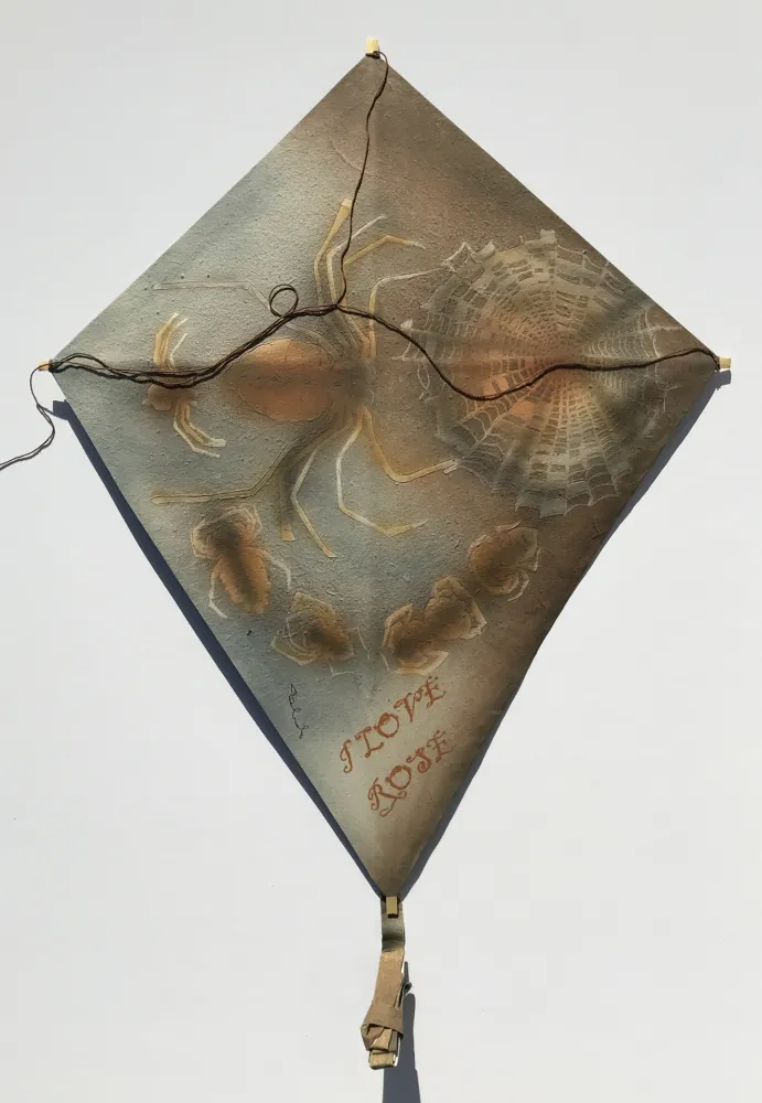 Aucune Technique Toledo - Spiders with Web Kite