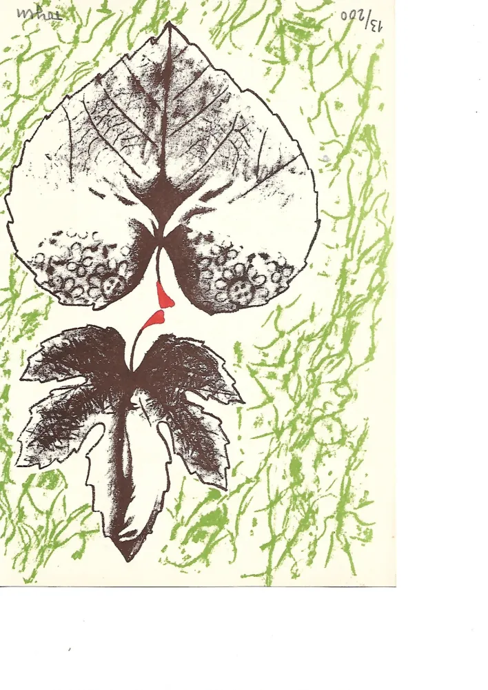 Lithographie Toyen -  Krabicka prvni pomoci - Boîte alerte (1959)