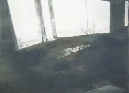 Sérigraphie Tuymans - Fenêtres